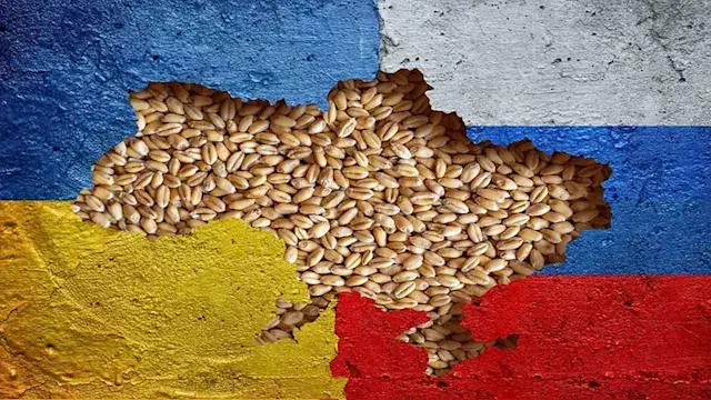 القمح يقفز 25%.. هل تؤثر أزمة البحر الأسود على رغيف المصريين؟