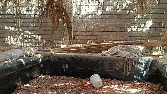 مصرع 2 وإصابة 6 عمال سقطوا في بيارة مصنع مخلل بالمنيا