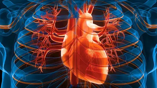 طبيب يكشف أفضل الأطعمة لدعم صحة القلب.. نوعان يوصي بتناولهما