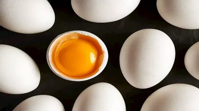 10علامات تكشف أن البيض لم يعد صالحًا للأكل.. ليست الرائحة فقط