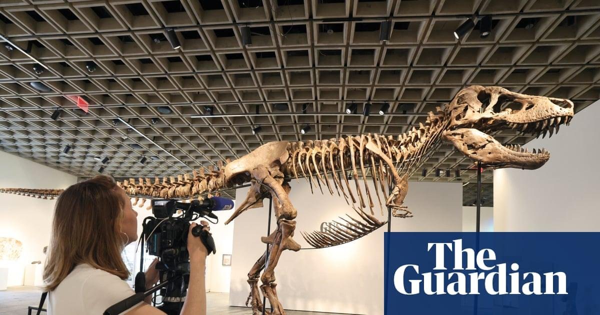 Sale of multimillion-dollar T rex skeleton is big headache for scientists
