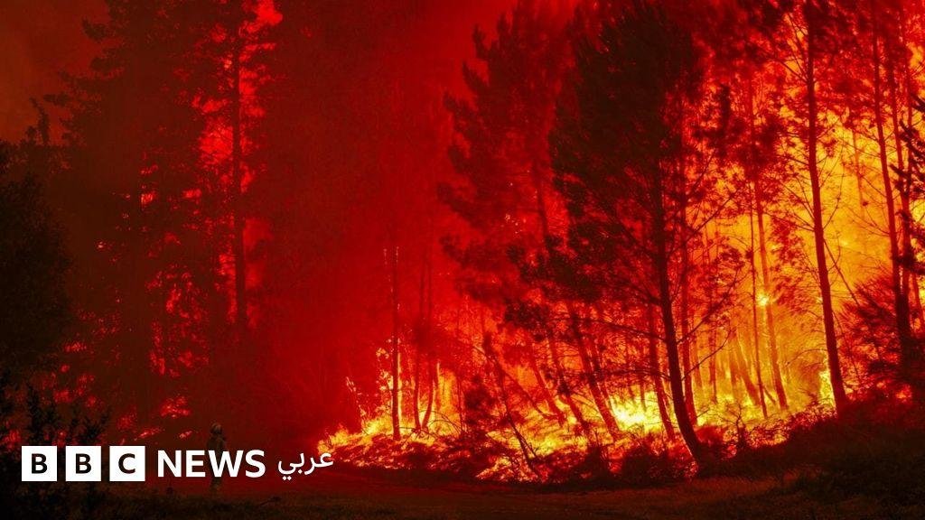 لمن ينكرون حقيقة التغير المناخي، الحرائق اندلعت - الإندبندنت