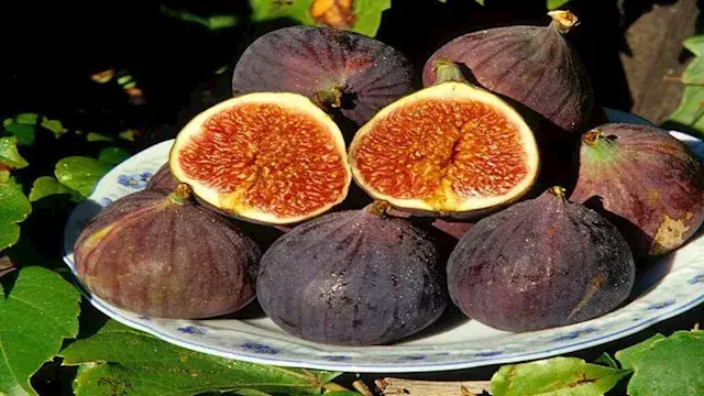 فاكهة صيفية تدعم صحة الأمعاء.. ما هي؟