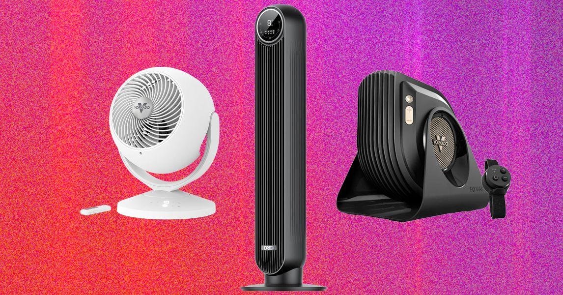 The 13 Best Fans for Getting Through Sweaty Days (2026)