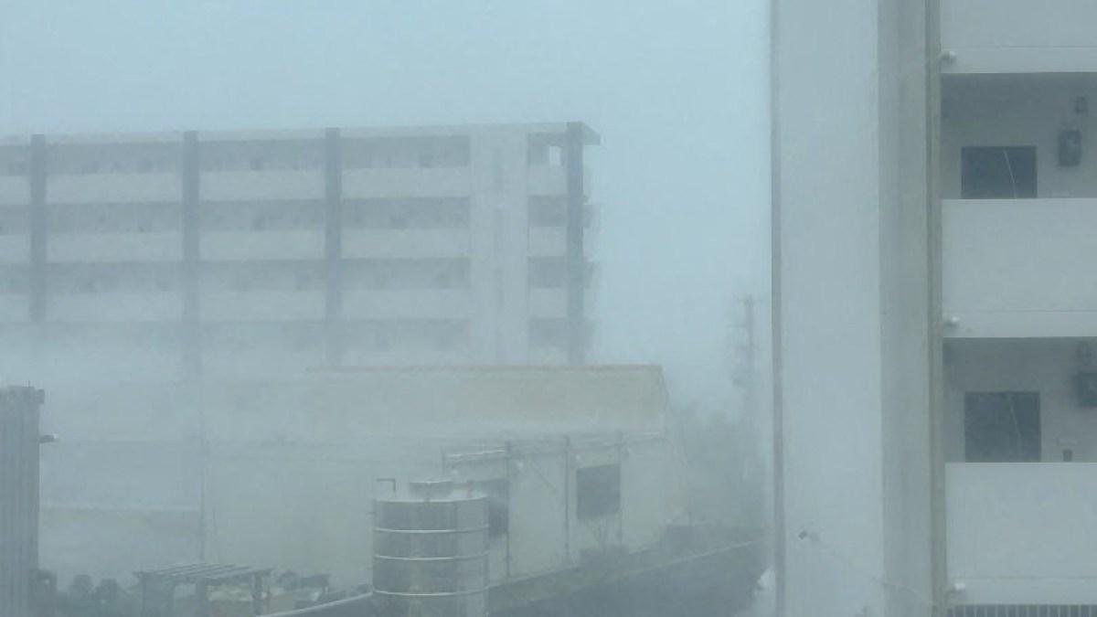 Typhoon Dolphin hurtles towards Japan: Tracker, updates and what to expect