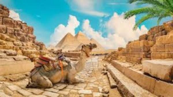 تنشيط السياحة تدرس المشاركة في معرض "TITF" بـ أوزبكستان.. مستند