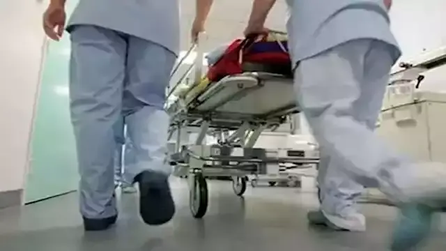 أكلوا بروست من مطعم شهير.. ارتفاع مصابي التسمم بالوادي الجديد إلى 19 شخصًا