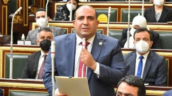 تحرك برلماني لتوطين التقاوي المصرية وتعزيز الأمن الغذائي والأسواق الأفريقية