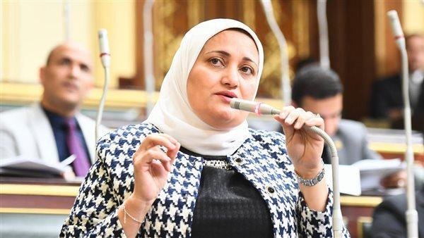 ردا على مطالبة سناء السعيد بفحص الذمة المالية لأحد النواب.. مصدر بالبرلمان: نتلقى الإقرارات دوريا ونرسلها للجهات الرقابية
