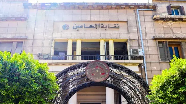 "المحامين" تحيل أحد أعضائها للتحقيق بتهمة الاستعانة بشهود زور