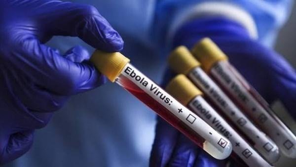 الصحة العالمية توصي باختبار لقاح ايرفيبو ضد فيروس بونديبوجيو